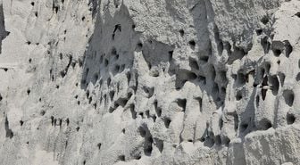 Şantiyedeki kum tepesi kırlangıçlara ev sahipliği yapıyor