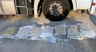 Tırda 24 kilo skunk ele geçirildi: Sürücüden 'İçmek için almıştım' savunması
