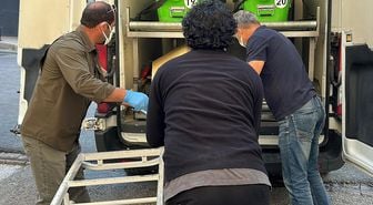 Kene kabusu büyüyor! Ölü sayısı çift haneye çıktı