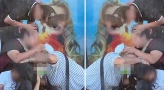 Kimseye aldırmadan saçlarındaki bitleri ayıkladılar