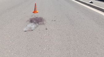 Gaziantep'te boşanma aşamasındaki eşine kurun yağdırdı! Genç kadından geriye kanlı eşarp kaldı