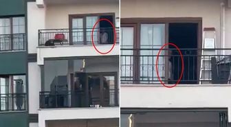 Gaziantep'te mide bulandıran görüntü! Kameraya alan komşularına aldırış etmedi