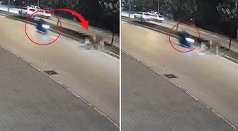 Motosikletlinin önüne bir anda çıktı: Zavallı hayvan olduğu yerde can verdi