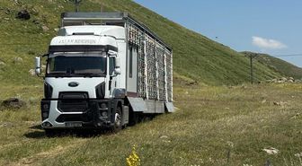 Türkiye'de bir ilk! Tır dorsesini mobil bal fabrikasına çevirdi
