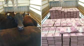 Düştüğü not manidar! Kayserili besicinin paylaşımına bakın