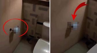 Tuvalet kağıtlarını İsrail bayrağıyla değiştirdi