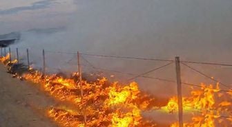 Gordion kazı alanını ateşe verdi: Alkollü şüpheli tutuklandı