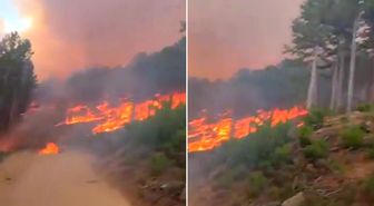 Aydın'ın Kuyucak ilçesindeki orman yangını saatledir söndürülemedi