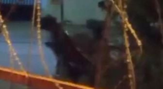 Ata dakikalarca şiddet uyguladı, dehşete düşüren anlar kameraya yansıdı