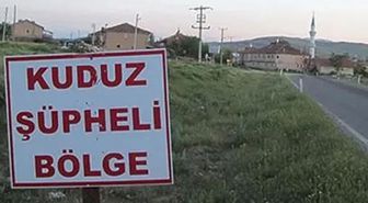 Ardahan'da kuduz vakası nedeniyle bir bölge karantinaya alındı