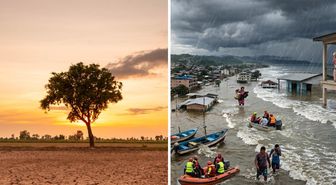 El Nino rekor kıracak: Son 76 yılın en şiddetli olayı olacak