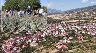 Bir ilçenin kaderini değiştiren ürün! Altından daha kolay satılıyor