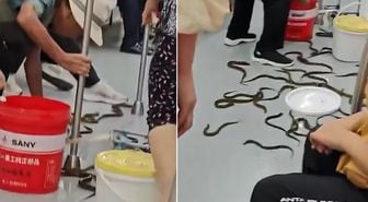 Metroya onlarcası saçıldı, ortalık karıştı