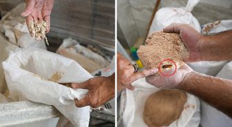 Tarsus’ta skandal görüntü! 30 ton böceklenmiş ve küflenmiş un imha edildi