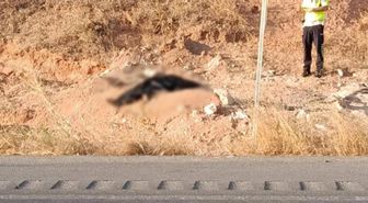 Gaziantep'te otomobiller çarpıştı: 3 ölü, 3 yaralı