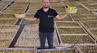 Aydın'dan dünyaya yayılan lezzet: İncir Cipsi