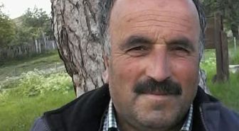 Kastamonu'da kestiği ağacın altında kalan adam yaşamını kaybetti