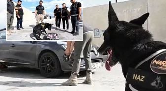 Erzincan'da narkotik köpek Naz emekli oldu