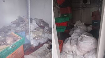 Bodrum’da kötü koku ihbarı ekipleri harekete geçirdi: 400 kilo bozuk ete el konuldu