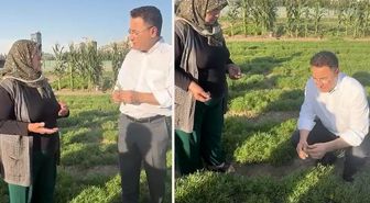 30 yıllık üretici Ali Babacan'a dert yandı: Geçinemiyoruz, bırakacağız