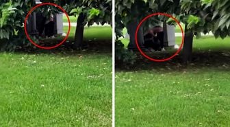 Maltepe Sahili’nde pes dedirten görüntü: Sahil ortasında sırt tıraşı