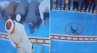 Namazda akılalmaz olay! Tekmelediği kedi imamın başına çarptı