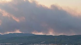 Muğla'da orman yangınına müdahale sürüyor
