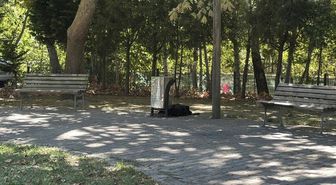 Cami önünde esrarengiz ölüm