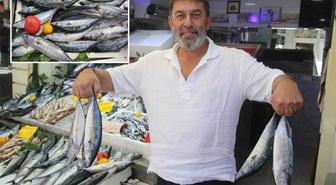 Palamut bolluğu tezgahlara yansıdı: 600 gram balık 100 TL
