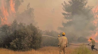 Ciğerlerimizi yakan iki noktadan iyi haber! OGM son durumu açıkladı