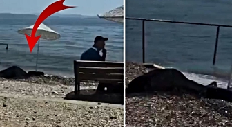 Kadının cansız bedeni kıyıya vurdu, hiçbir şey olmamış gibi oturmaya devam ettiler