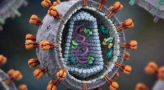 Fiji'de HIV nedeniyle 'ulusal kriz' ilan edildi