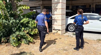 Kütahya'da esnafın beslediği kedi, bacakları kesilmiş halde bulundu! Bölgede 3. vaka