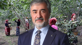 Hamarat’tan ihracatçı ve tüccarlara fındık fiyatı çağrısı: Üreticinin emeğini gözetin