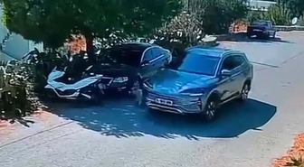 Bodrum'da iki köpeğin üzerinden geçip kaçan sürücünün kimliği belirlendi! Köpeklerden 4 gündür haber yok