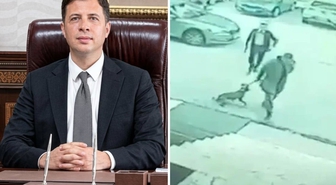 Erzurum'da kaymakam–köpek tartışmasında soruşturma iki yönlü hale geldi