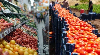 Halciler Federasyonu Başkanı Tavşan: Tarla-market fiyat farkı çoğunlukla bir şehir efsanesi