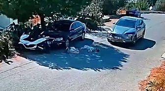 Bodrum'da 2 köpeğin üzerinden geçip giden sürücünün izi bulundu! Ankara'da olduğu tespit edildi