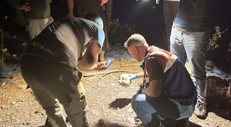 Antalya'da ormanlık alanda kafatası bulundu! Çobanın ihbarı sonrası adli tahkikat başlatıldı