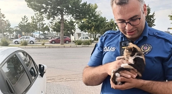 Beyşehir'de motorda mahsur kalan yavru kedi için seferberlik! Onu cep telefonundan açılan kedi sesi kurtardı