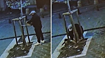 Vitrin görünmüyor diye ağacı kesti! O anlar kamerada