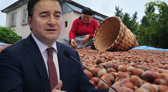 Babacan fındık üreticileriyle buluştu: 20 milyar doları bir kişi vurup geçiyor