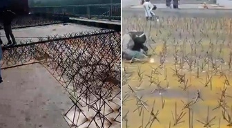 İmran Han'ın destekçilerine dikenli barikat!