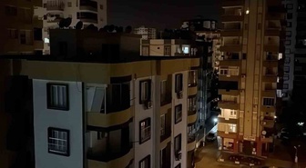 Adana'da cırcır böceği çilesi! 100 desibellik ses vatandaşları geceleri uyutmuyor