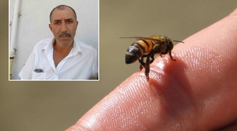 Arı sokması sonrası fenalaştı! Hastanede hayatını kaybetti