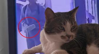 Tek başına 4 hırsızı püskürttü! 4 kez denediler ama taviz vermedi