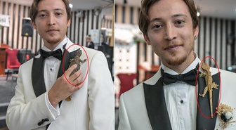 Altın yerine sopa böceği, iguana ve kertenkele! Böyle takı töreni görülmedi
