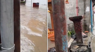 Tayland'da kabus görüntüleri: Sel suları binlerce hamam böceğinin sokağa döktü