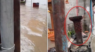 Tayland'da kabus görüntüleri: Sel suları binlerce hamam böceğini sokağa döktü