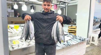 Sinop'ta palamut bereketi! Tezgahlarda fiyatı 50 liraya kadar geriledi